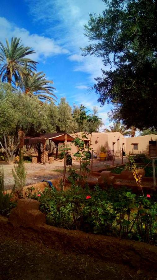 Eco-Ferme Tamalait Skoura Ξενοδοχείο Εξωτερικό φωτογραφία