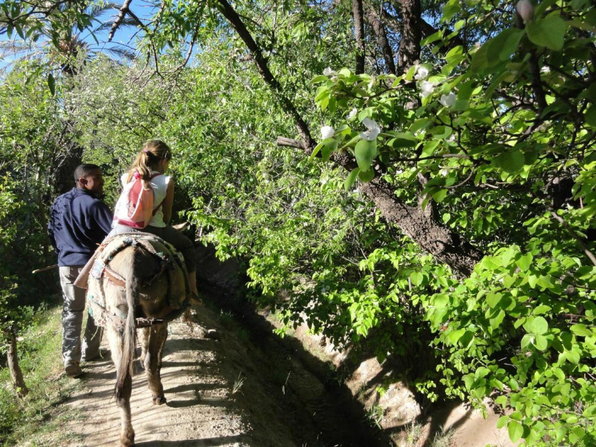 Eco-Ferme Tamalait Skoura Ξενοδοχείο Εξωτερικό φωτογραφία